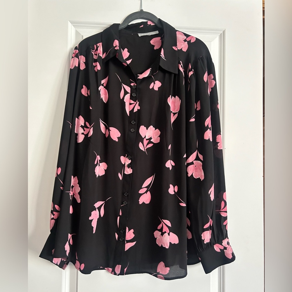 Daniel Rainn | Zaro Button Up Blouse | Black | 2X